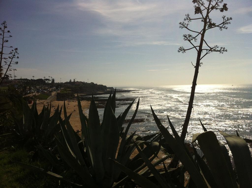 Beach Warehouse S.Pedro Estoril Appartement Kamer foto